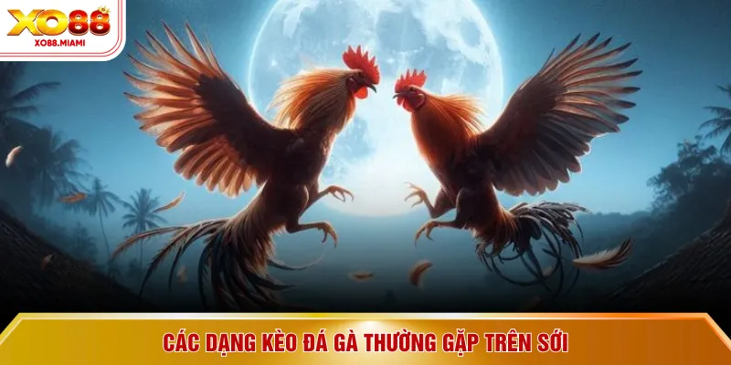 Các dạng kèo đá gà thường gặp trên sới