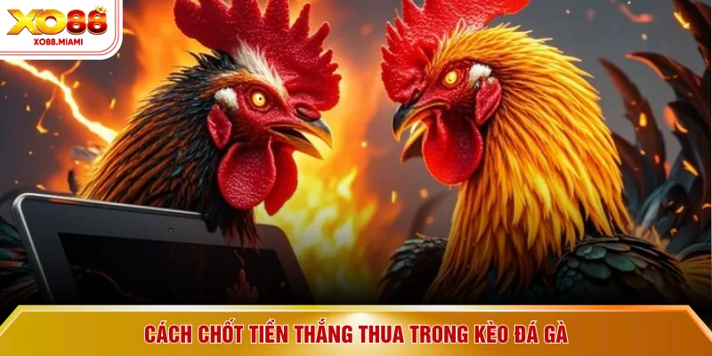 Cách chốt tiền thắng thua trong kèo đá gà