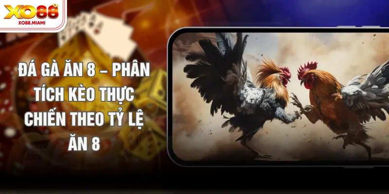 Đá Gà Ăn 8 – Phân Tích Kèo Thực Chiến Theo Tỷ Lệ Ăn 8