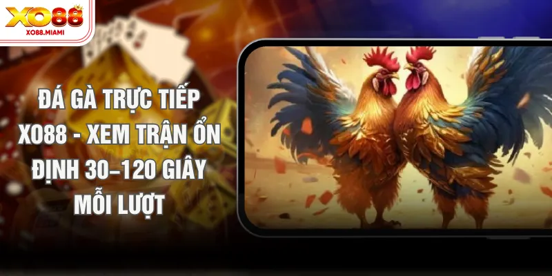 Đá Gà Trực Tiếp XO88 - Xem Trận Ổn Định 30–120 Giây Mỗi Lượt