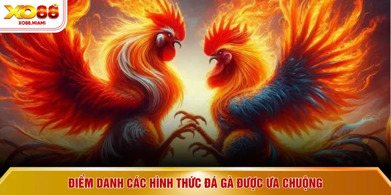 Điểm danh các hình thức đá gà được ưa chuộng
