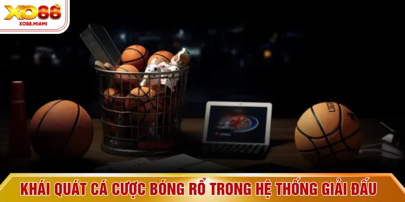 Khái quát cá cược bóng rổ trong hệ thống giải đấu
