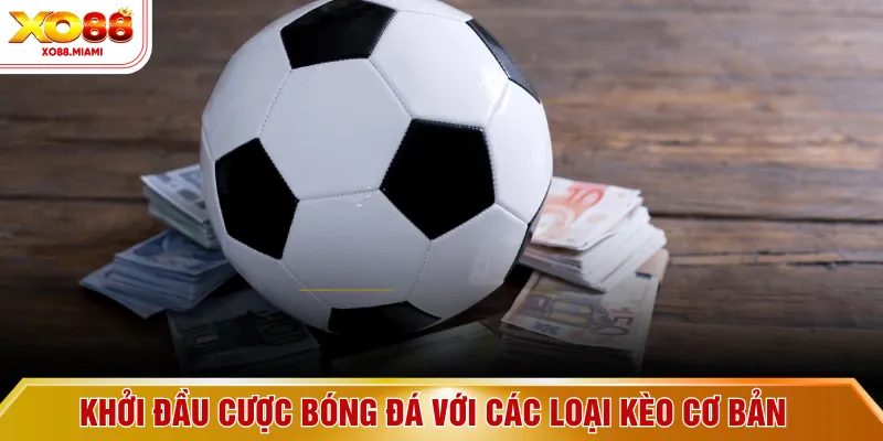 Khởi đầu cược bóng đá với các loại kèo cơ bản