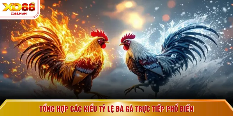 Tổng hợp các kiểu tỷ lệ đá gà trực tiếp phổ biến